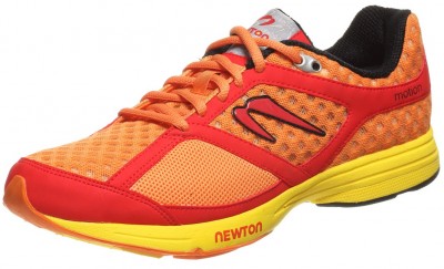 Newton Motion