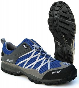 Inov8 Flyroc 345 GTX