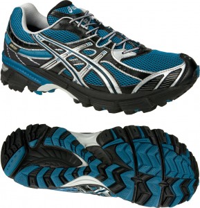 Asics Gel Moriko GTX 5