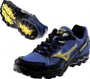 Mizuno Wave Harrier 3