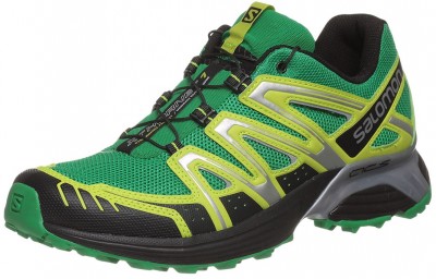 Salomon XT Hornet
