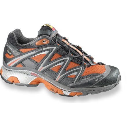 salomon wings gtx