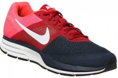 Nike Air Pegasus+ 30