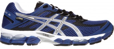 Asics Gel Cumulus GoreTex 15